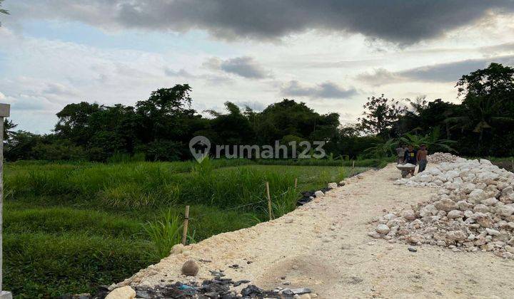 Plot Land Dream View Sawah in Tedung, Abianbase, Gianyar 2