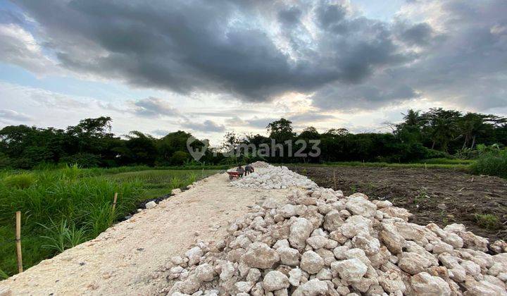 Tanah Kavling Impian View Sawah di Tedung, Abianbase, Gianyar