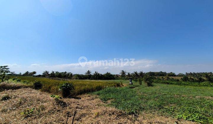 Plot of land with rice field view for sale on Jln Yeh Gangga Gubug, Tabanan 2