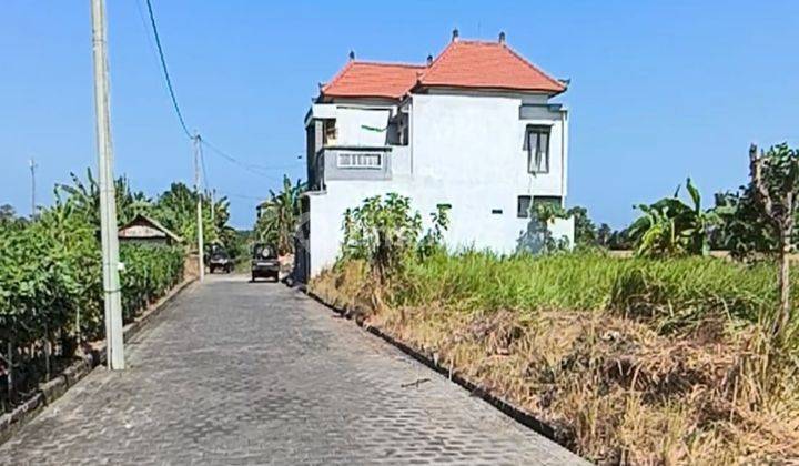 Plot of land with rice field view for sale on Jln Yeh Gangga Gubug, Tabanan 2