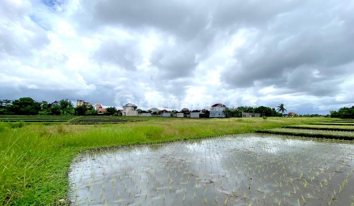 Tanah Kavling Ekslusif View Sawah di Utara Pantai Nyanyi Tabanan
