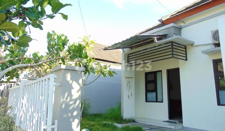 Dijual Rumah Ready Unit Murah Di Kutuh Dekat Dengan Pantai  2