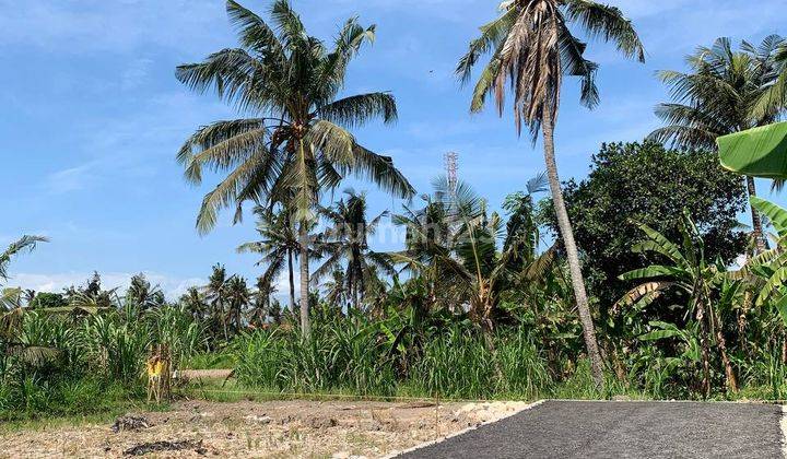 Tanah Kavling View Sawah Dan Dekat Pantai Harga Murah Free Pajak 2