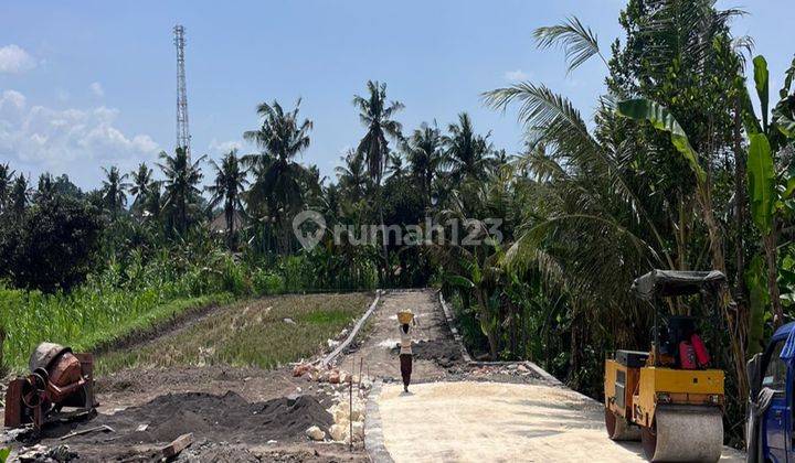 Tanah Kavling View Sawah Dan Dekat Pantai Harga Murah Free Pajak 2