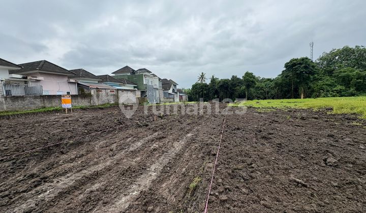 Dijual Tanah Kavling Siap Bangun View Sawah di Tedung Gianyar Dijual Tanah Kavling Siap Bangun View Sawah di Tedung Gianyar
