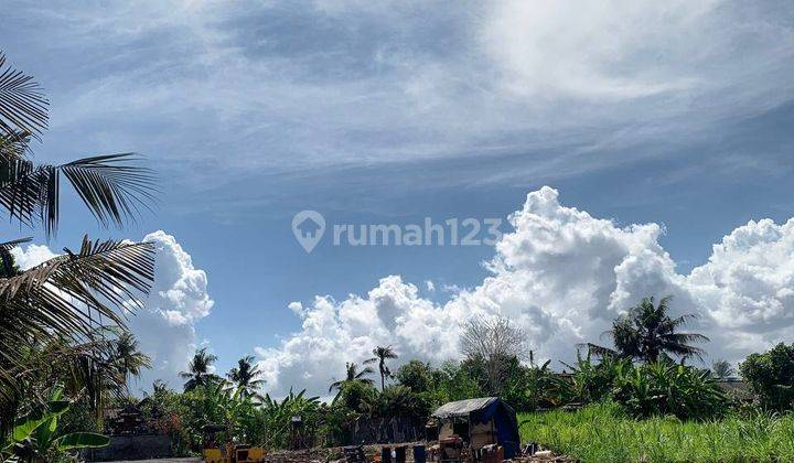 Tanah Kavling View Sawah Dan Dekat Pantai Harga Murah Free Pajak 2