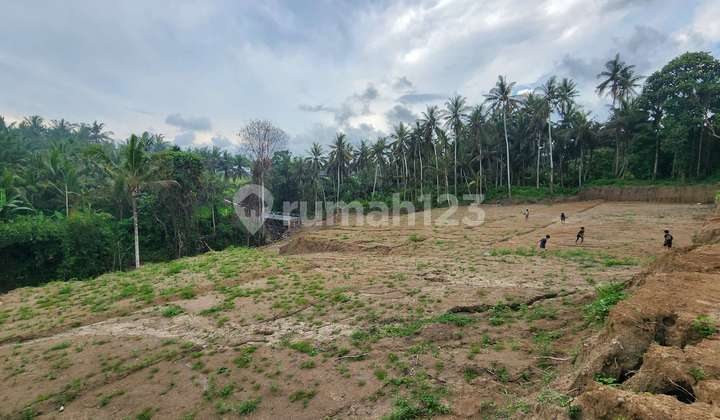 Tanah Kavling Premium View Sawah & Lembah Cocok Untuk Villa Saba Tanah Kavling Premium View Sawah & Lembah Cocok Untuk Villa Saba