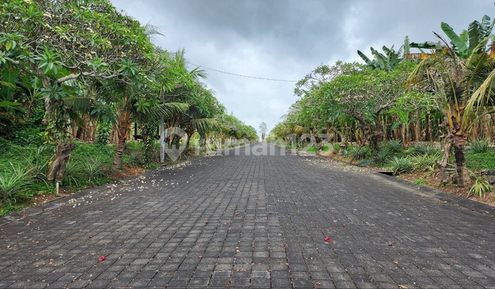 Tanah Kavling Ekslusive Di Siyut One Gate System Dekat Pantai 