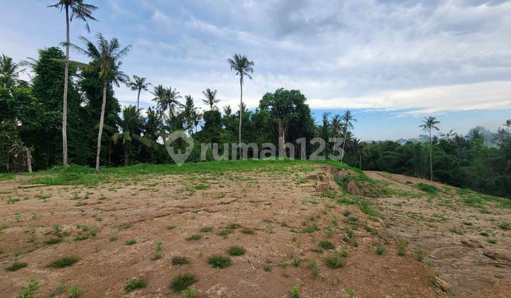 Tanah Kavling Premium View Sawah & Lembah Cocok Untuk Villa Saba