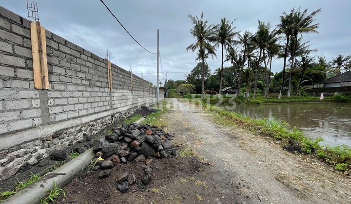 Dijual Tanah Kavling Murah Di Pering, Gianyar Dekat Dps Dan Sanur 2
