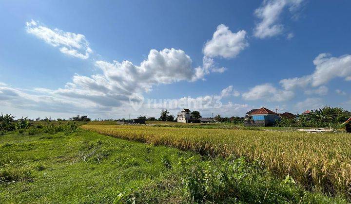 Tanah Kavling Murah View Sawah Di Dauhpeken Dekat Tabanan Kota 1