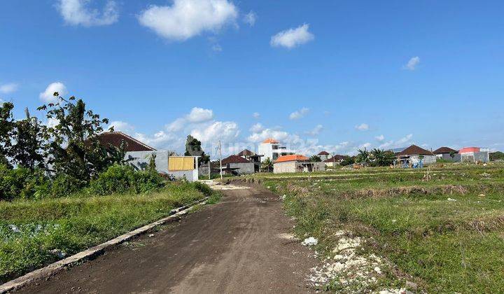 Cheap Land Plots with Rice Field View in Dauhpeken Near Tabanan City 2