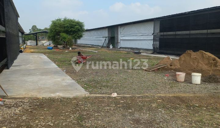 Land With Chicken Farming Furnished in Subang