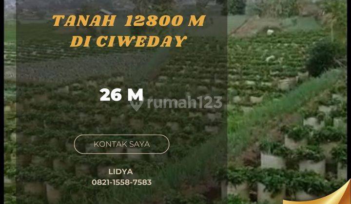 Tanah di Jalan raya ciwidey 12800 m² 1