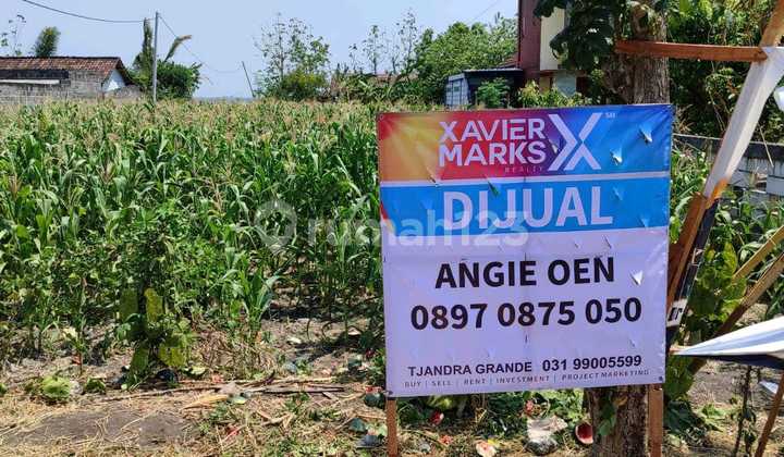 Gondang Land Nganjuk Lengkong Nganjuk Cheap Ang.a029 Gondang Land Nganjuk Lengkong Nganjuk Cheap Ang.a029