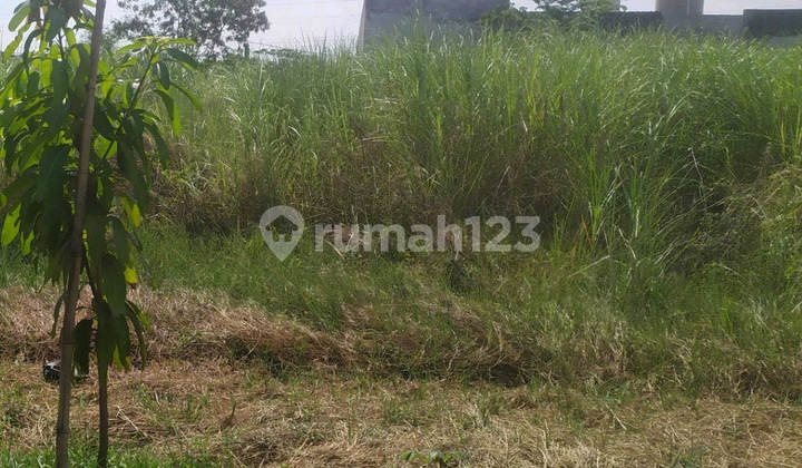 Tanah Jeruk Sidoarjo Murah Ang.a063