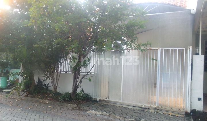 Rumah Citraland Surabaya Murah Riknw255