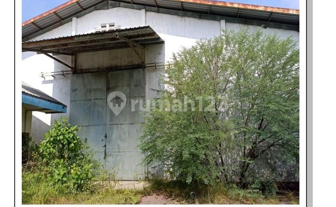 Gudang Margomulyo Surabaya Murah Ang.a.009