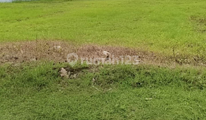 Tanah Pakuwon Indah Surabaya Murah Rik.nw224