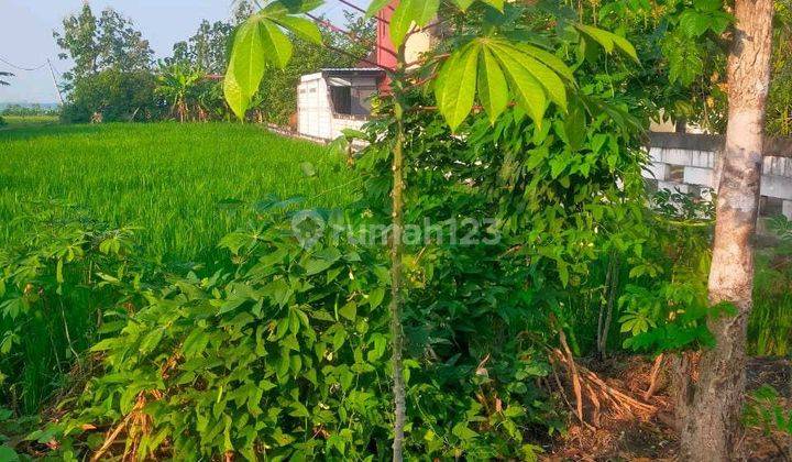 Dijual Tanah Lokasi Nganjuk Jawa Timur 1