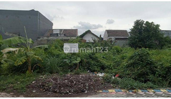 Dijual Tanah Di Medayu Rungkut ANG.A033 1