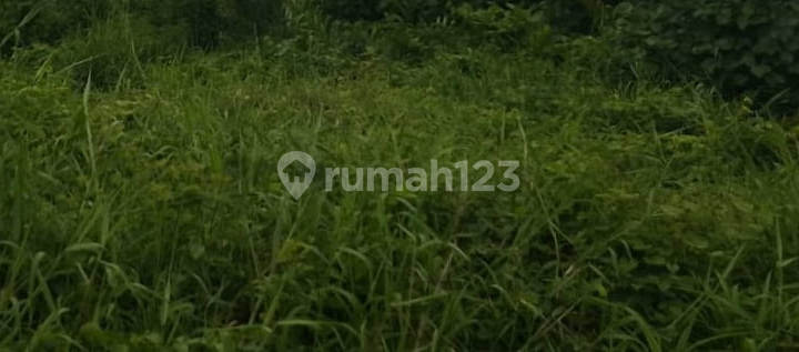 Anah Medokan Sawah Rungkut Surabaya Murah Ang.a007