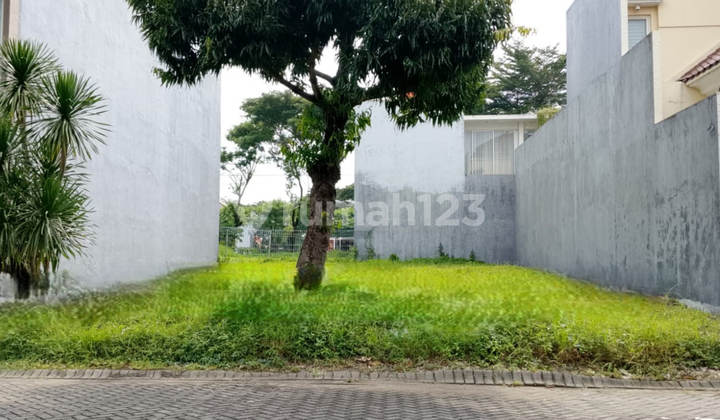 Tanah Kavlingg Citraland Surabaya Murah Rik.nw305