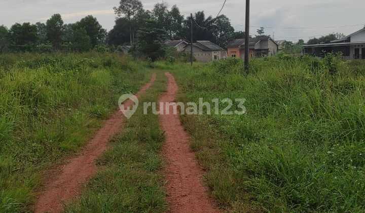 Dijual Kavling Tanah Ukuran 8 x 16 m Jalan Taib Kampung Dul Pangkal Pinang Bangka