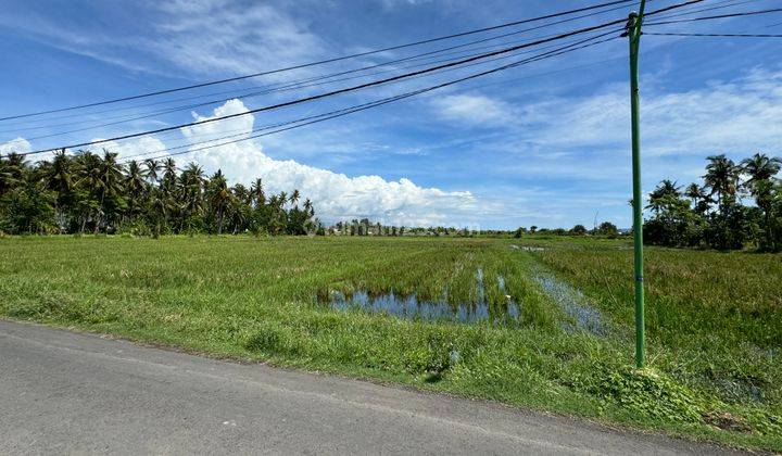 Tanah Strategis Murah Utk Hotel, Resort 1.3ha, SHM Banyuwangi 1