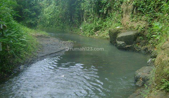 Tanah 20are di Batuan Bali HGB Untuk Hotel villa. Belakang Sungai 2