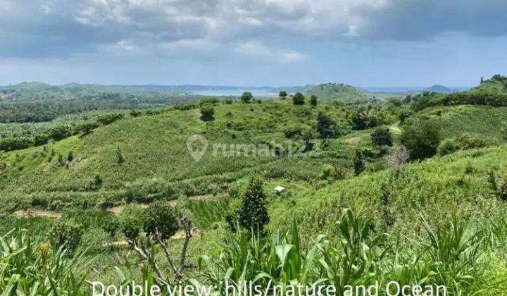 TANAH COCOK UNTUK VILLA DI PUJUT LOMBOK TENGAH DEKAT MANDALIKA 1