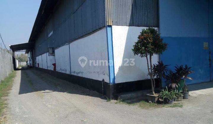 Gudang Murah Ex Pabrik Di Mojokerto Nol Jalan Propinsi 2jtan / M² 1