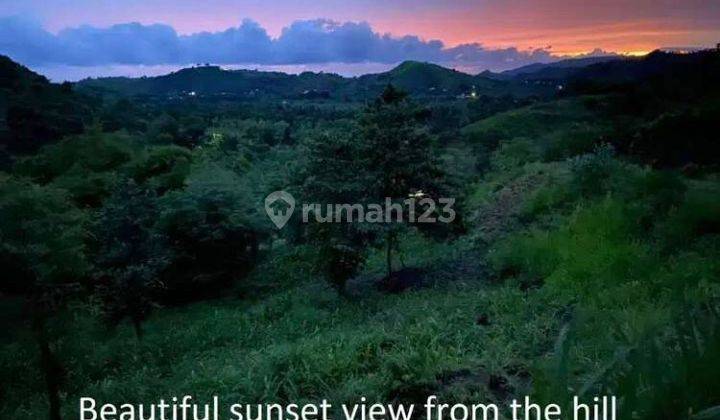 TANAH COCOK UNTUK VILLA DI PUJUT LOMBOK TENGAH DEKAT MANDALIKA 2