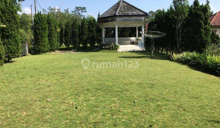 Villa Puncak Trawas Murah Luas 1124 Only 4,9m Nego Sampek Deal  2