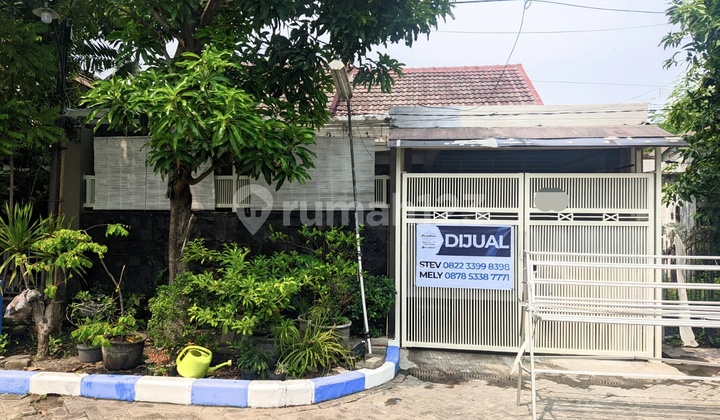 Best Deal - Nanas Pondok Tjandra Best Deal - Nanas Pondok Tjandra