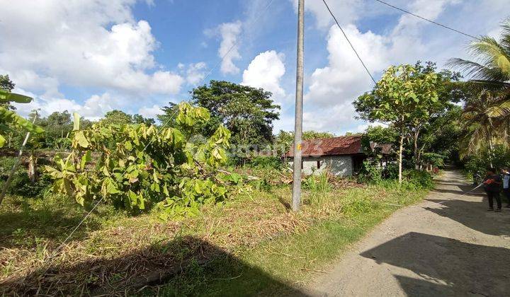 Tanah SHM Kulon Progo: Dekat Pintu Tol & Jalan Jogja-Wates 1