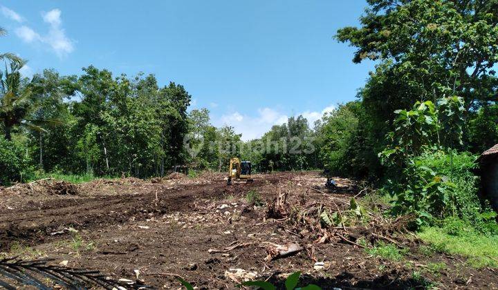 Tanah Strategis SHM Kulon Progo, 5 Menit dari Akses Tol.  1