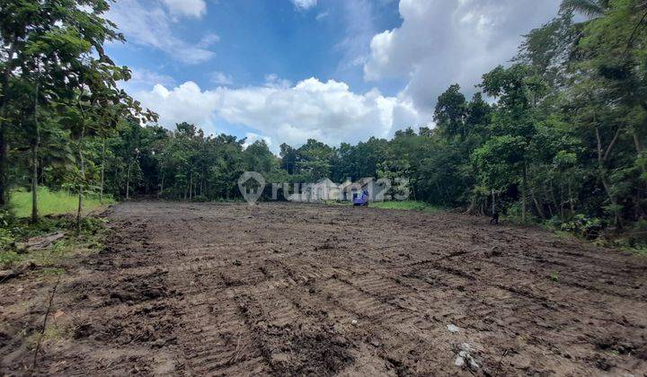 5 Menit Lapangan Kasihan Tanah Kavling Bantul 1