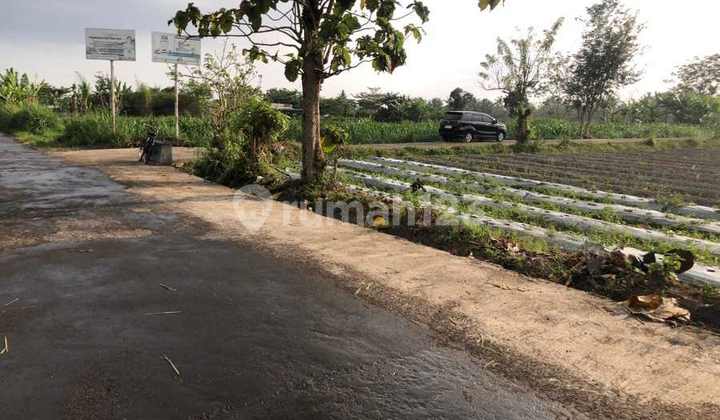 Cocok Bangun Villa Dekat Pawon Mbah Gito-SHMP 
