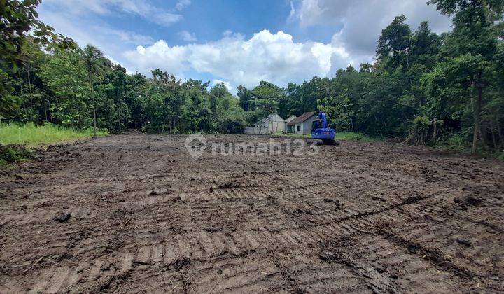 Belakang Kampus UMY Tanah Kavling Bantul ; Legalitas SHM	 2