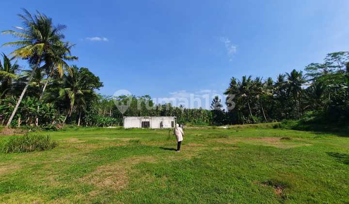 Area Wisata Nanggulan, DP Kompromi	