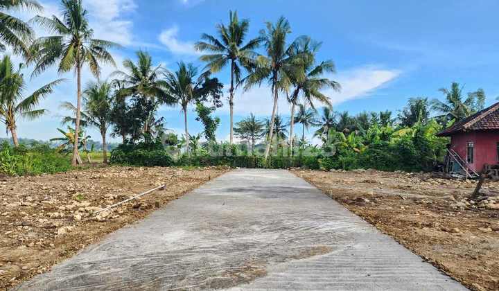 Spot Homestay View Sawah: Timur Bandara YIA
