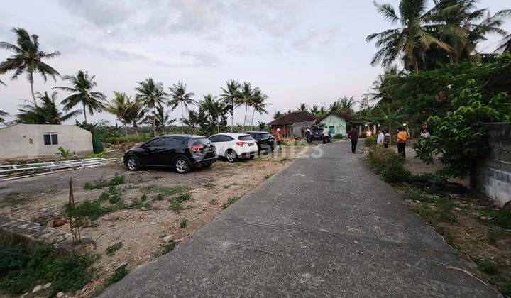 Spot Homestay View Sawah: Timur Bandara YIA 2