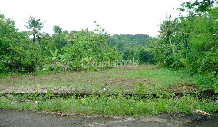 Tanah murah dekat ke Kota Jogja dan ring road, SHM 1