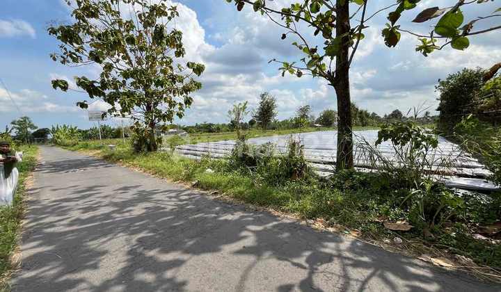 Tanah Dijual Dekat UII Jogja Akses Jalan 5 Meter SHM Pekarangan