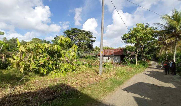 Lahan SHM Siap Bangun, Lokasi Strategis Dekat Tol dan Bandara YIA 1