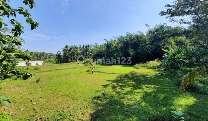Tanah SHM Murah Dekat Terminal Sentolo Jogja 2