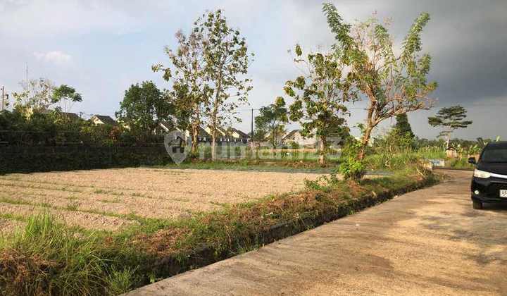 Kavling 80m Besi Jakang Mangku Aspal SHMP Kavling 80m Besi Jakang Mangku Aspal SHMP