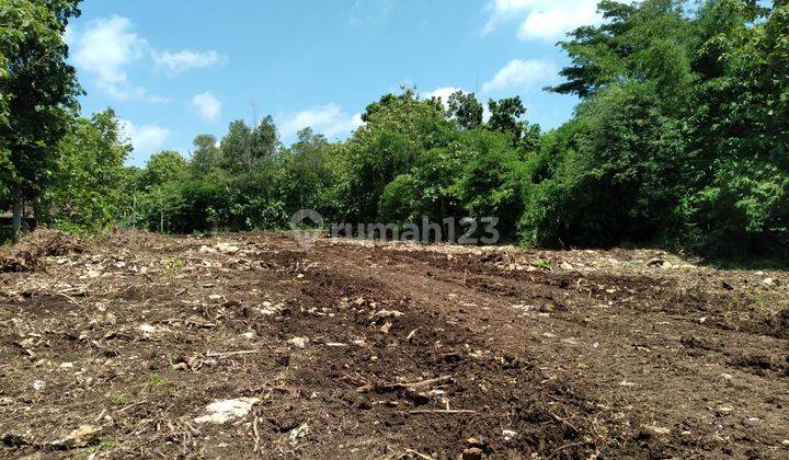 Lahan SHM Siap Bangun, Lokasi Strategis Dekat Tol dan Bandara YIA 2