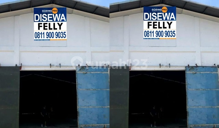 Disewakan Gudang Pluit ,.jakarta Utara Disewakan Gudang Pluit ,.jakarta Utara